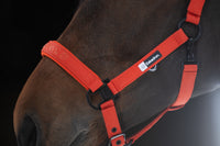 Eskadron Dynamic poppy red glitter headcollar and leadrope