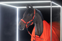 Eskadron Dynamic poppy red glitter headcollar and leadrope