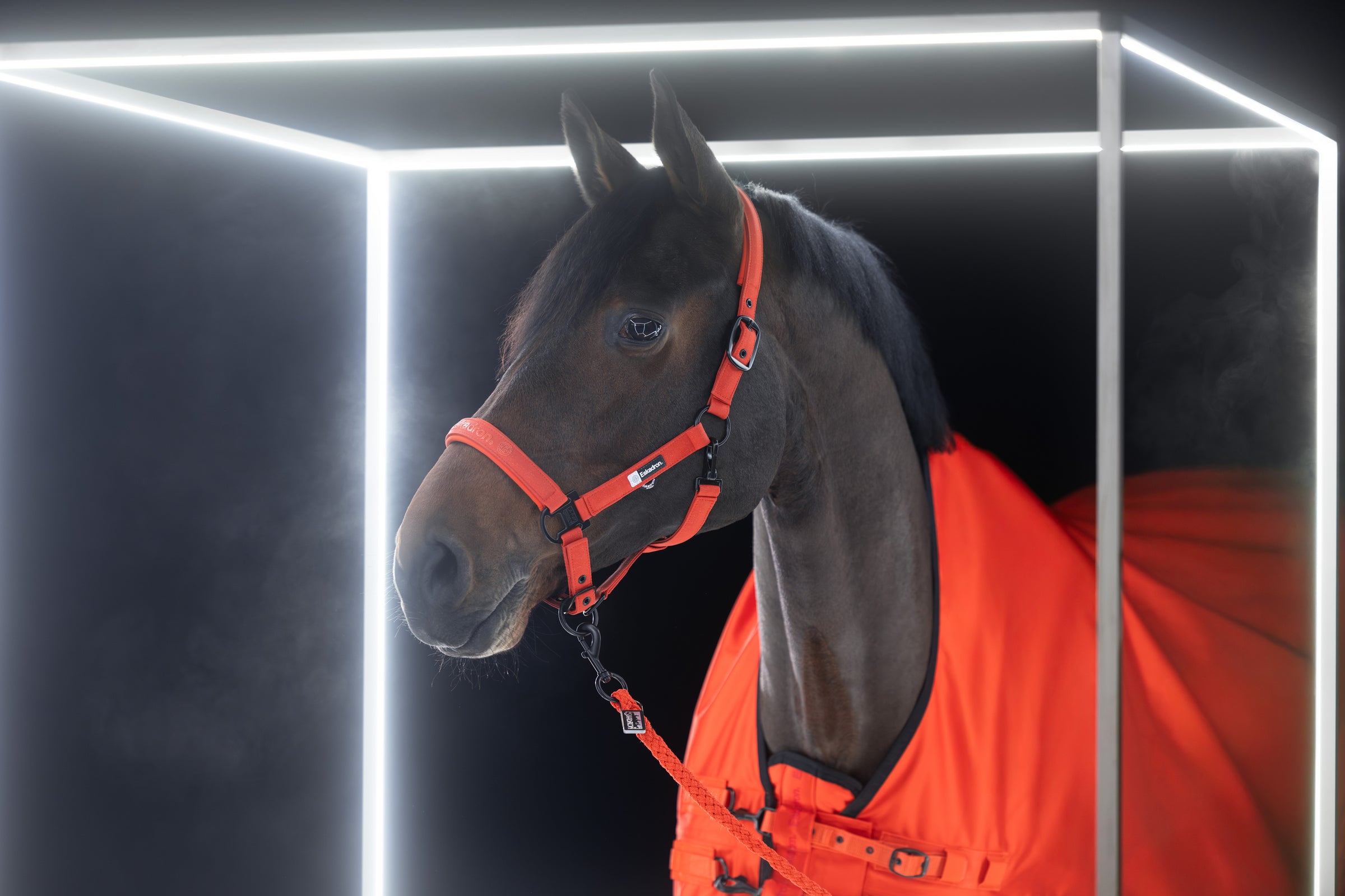 Eskadron Dynamic poppy red glitter headcollar and leadrope