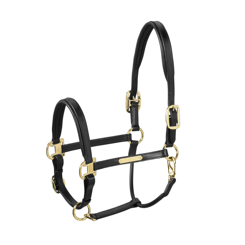 Eskadron Elegance leather headcollar in black