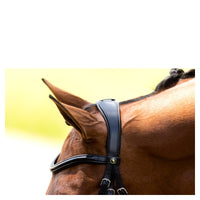 BR Howden Bridle
