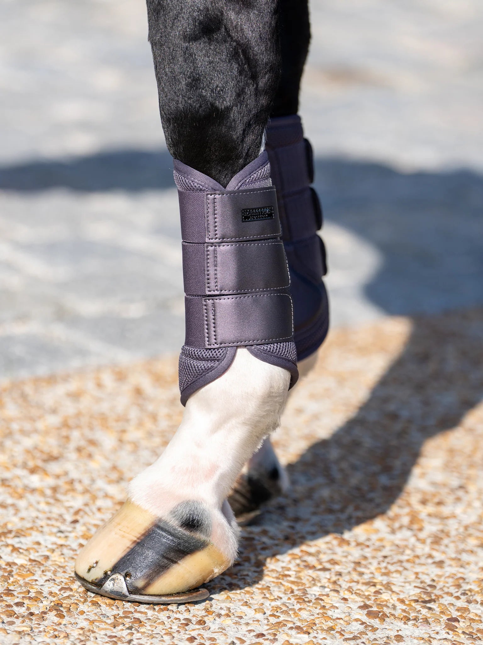 Equestrian Stockholm Dark violet mesh boots