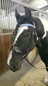 Equiture Sapphire, clear and light sapphire megabling curve browband