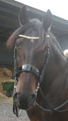 Clear and gold browband