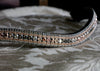 Equiture Swarovski Tiffany grey rose gold wave megabling curve browband