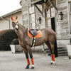 Kentucky velvet Orange saddlepad