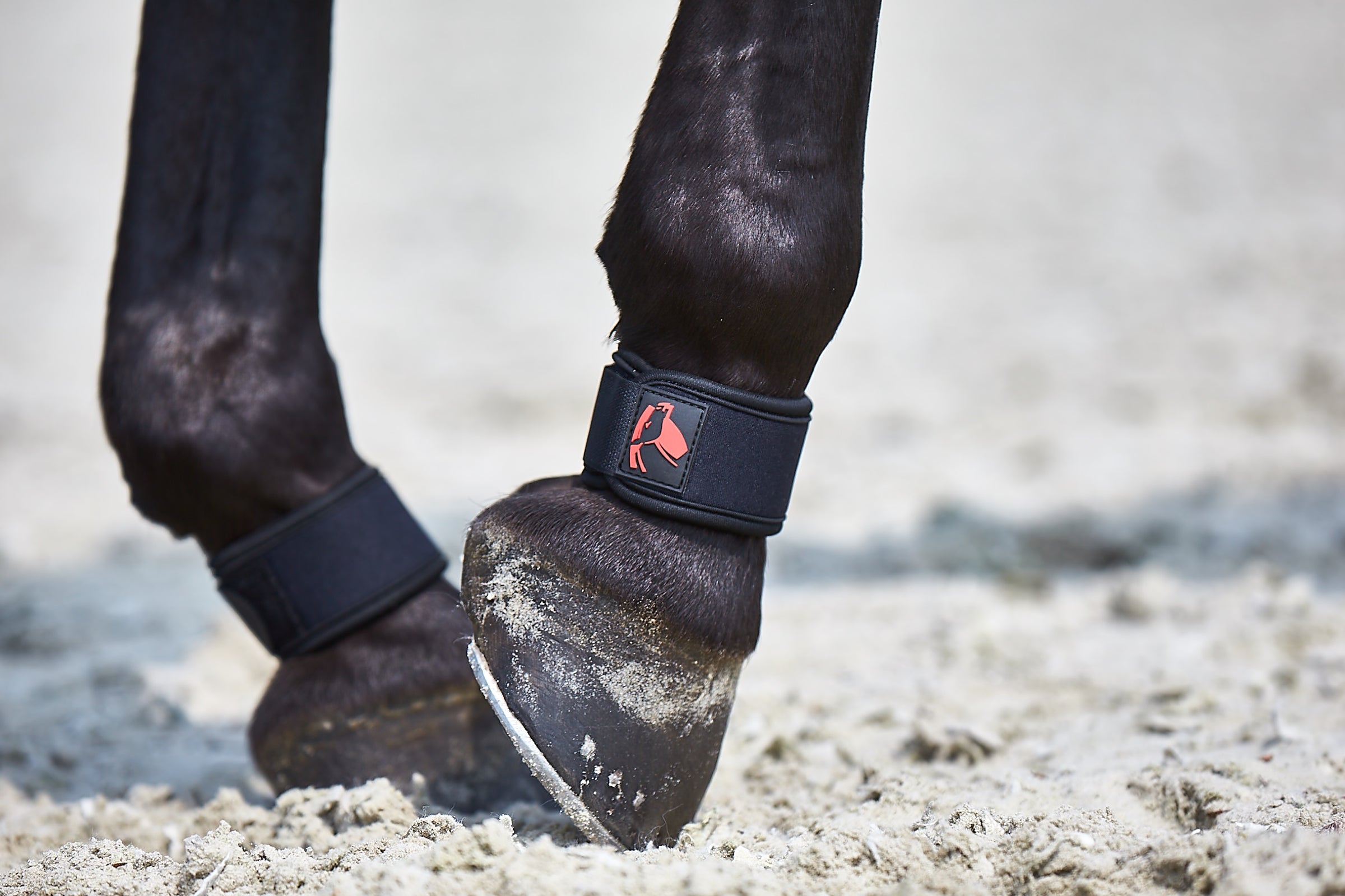 Catago FIR tech pastern wraps