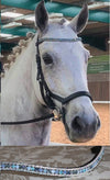 Equiture Swarovski Tiffany Pegasus Browband