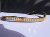 Equiture Golden Honey and light colorado browband