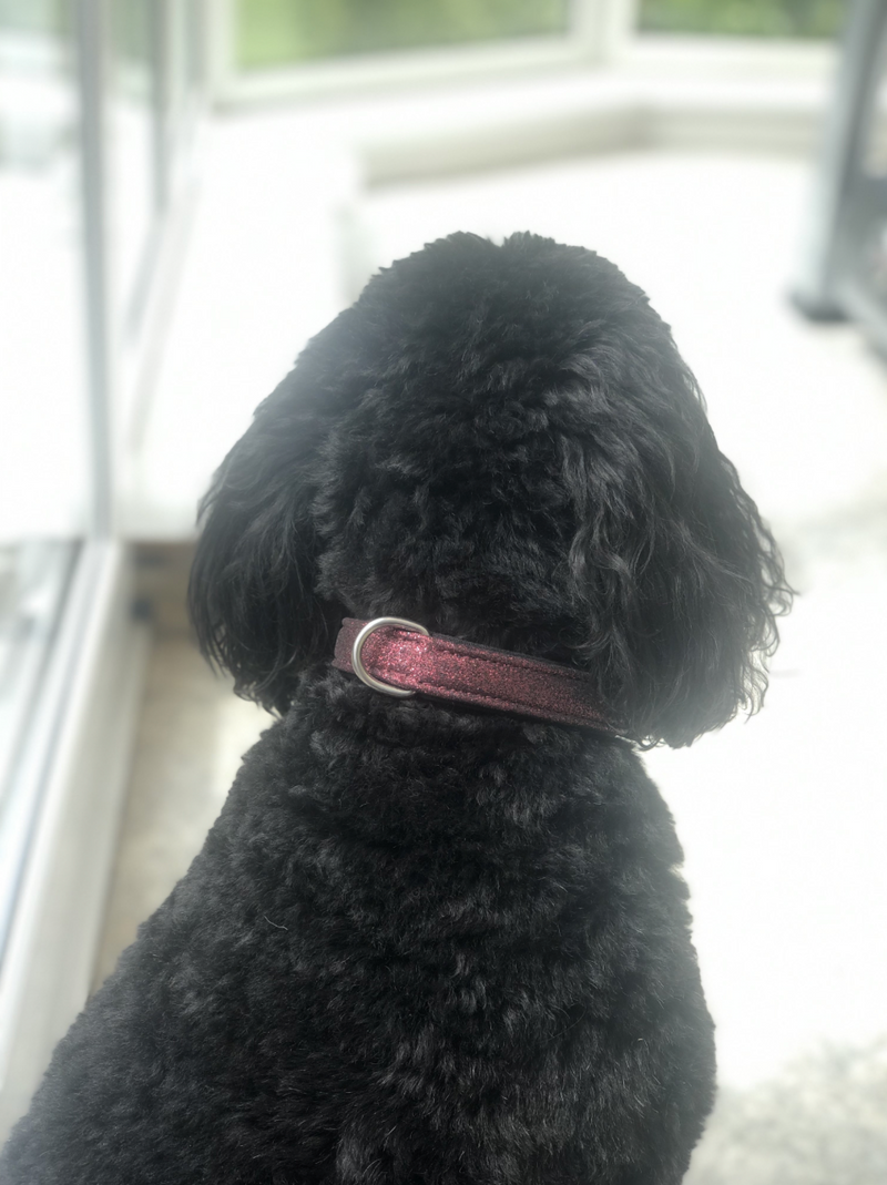 SD Design Glitter Dog Collar in Raspberry