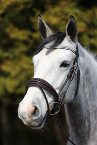 Equiture Swarovski tiffany clear crystal and jet megabling curve browband
