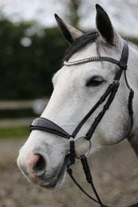 Equiture Swarovski Tiffany grey fade browband