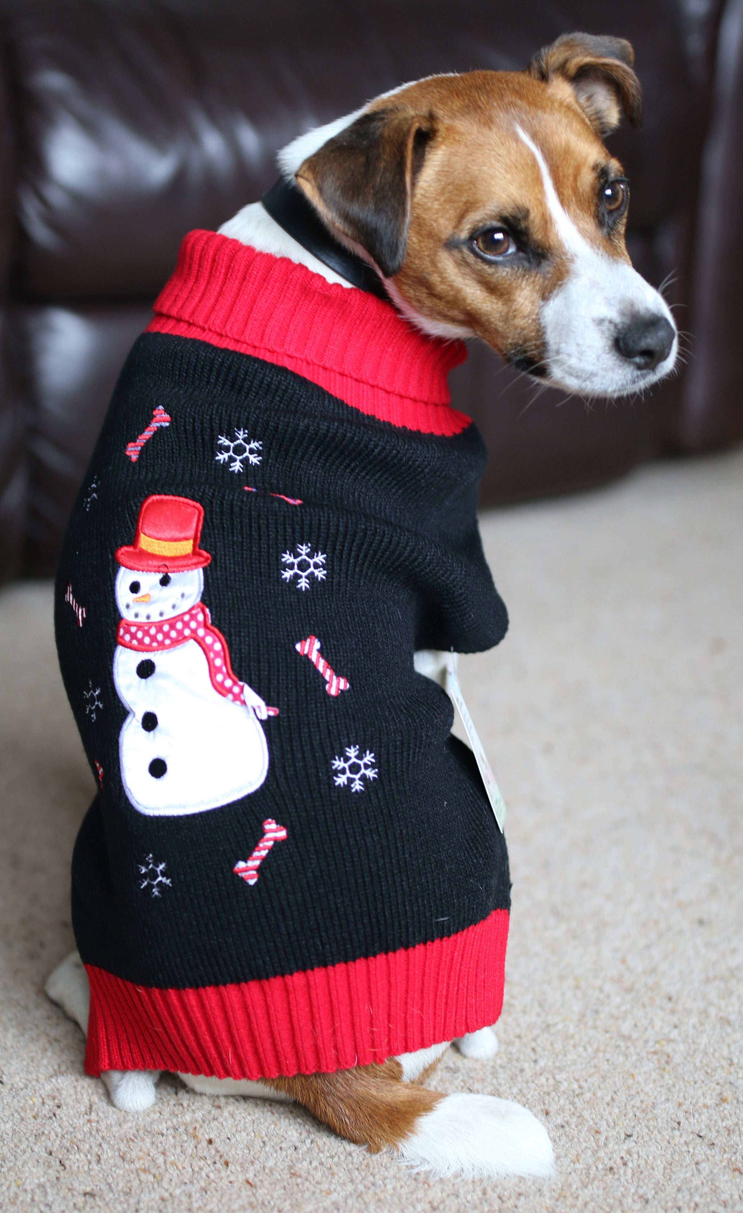 Xxl dog hot sale christmas jumper