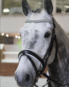 Equiture Swarovski tiffany clear crystal and jet megabling curve browband