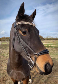 Equiture Swarovski tiffany rose gold megabling curve browband