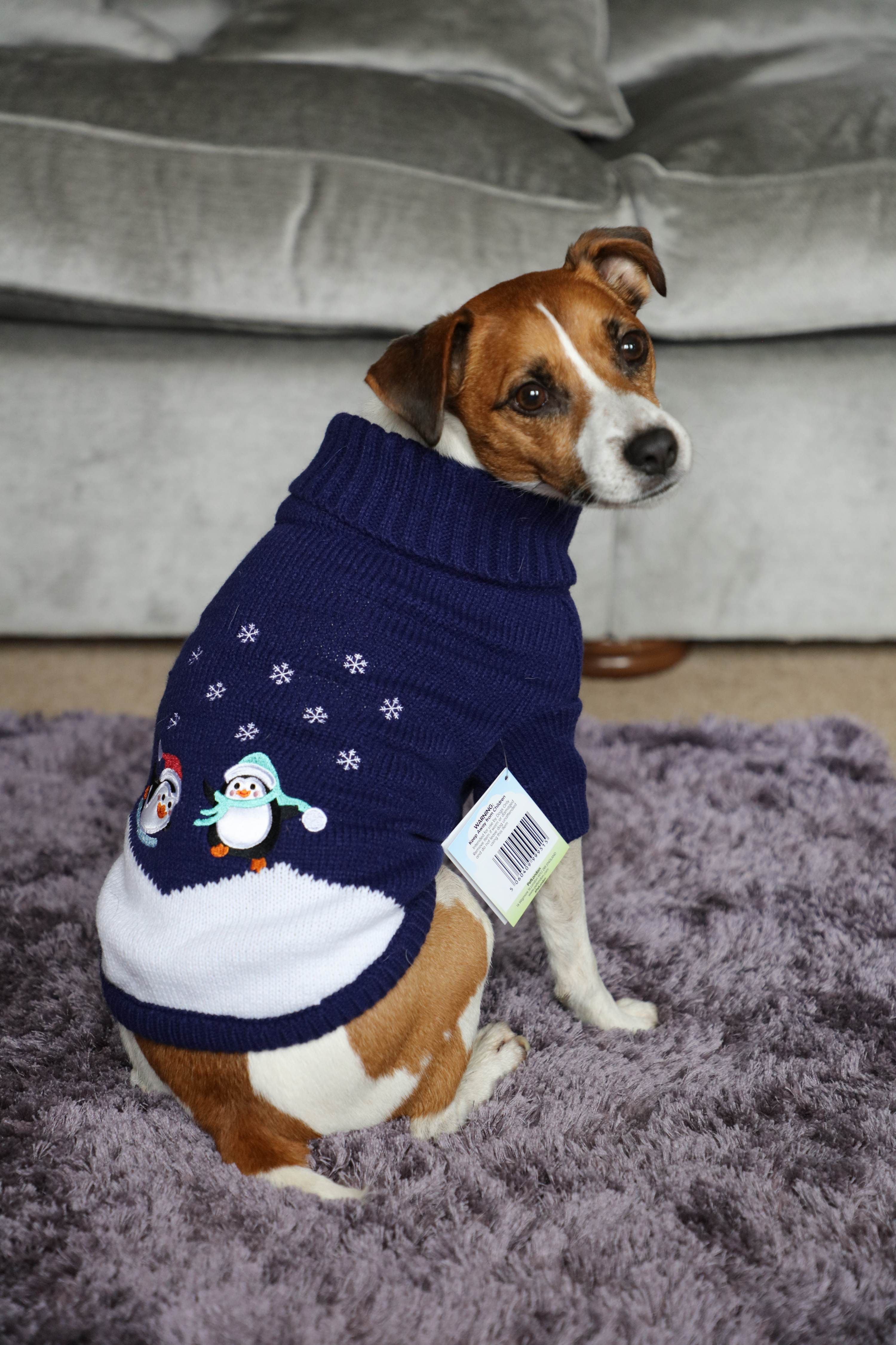 Penguin dog outlet sweater