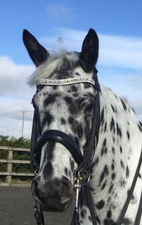 Equiture Swarovski Tiffany unicorn megabling curve browband