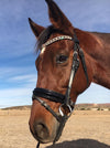 Equiture Swarovski Tiffany alternating graphite and silver shade browband