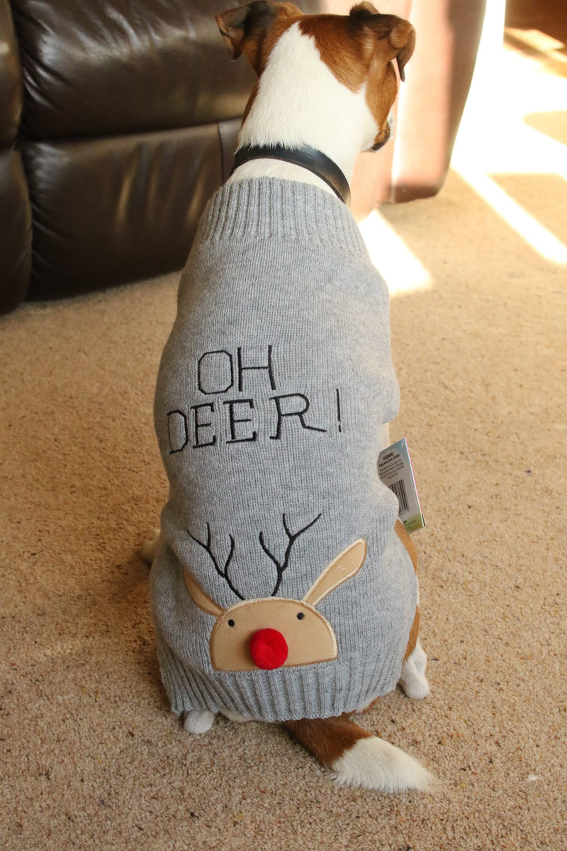 Oh Deer jumper