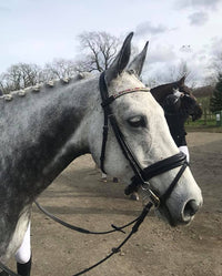 Equiture Swarovski tiffany pink unicorn browband