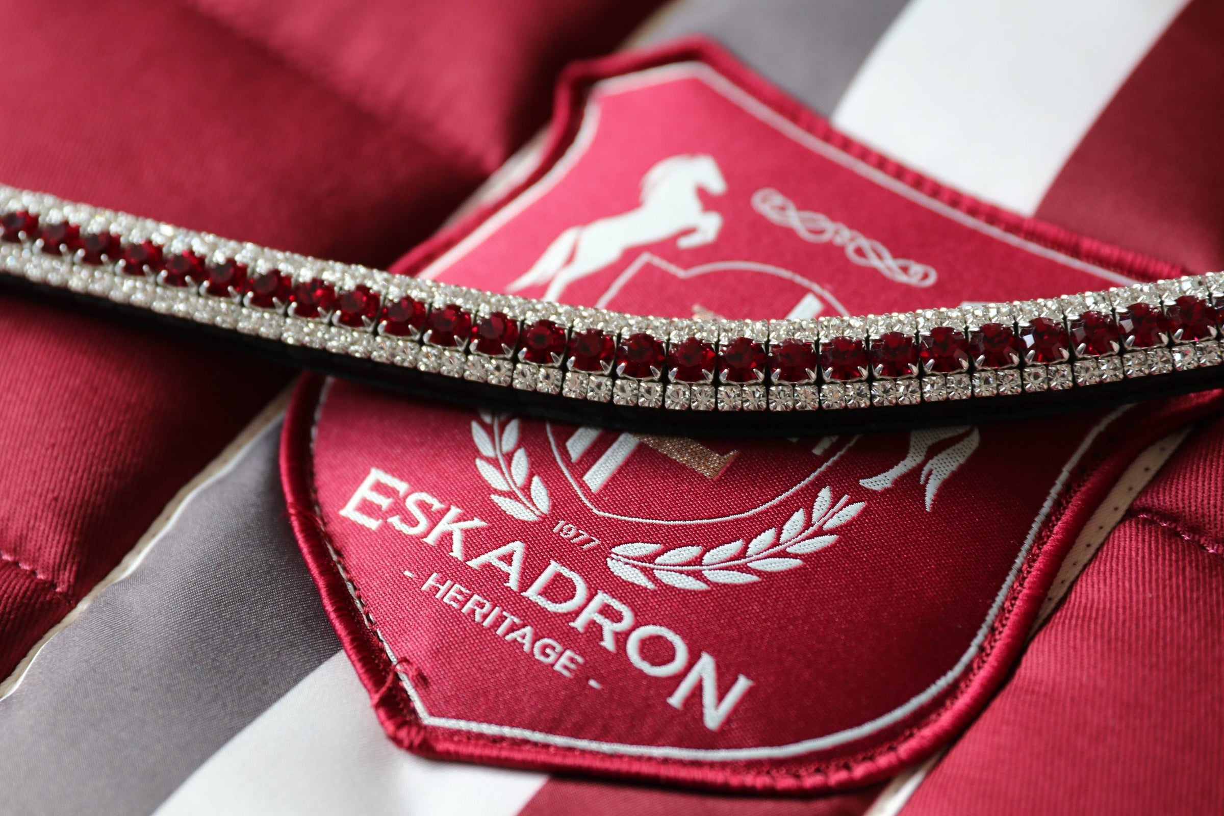 Equiture Ruby and clear browband