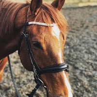 Equiture Swarovski tiffany rose gold browband