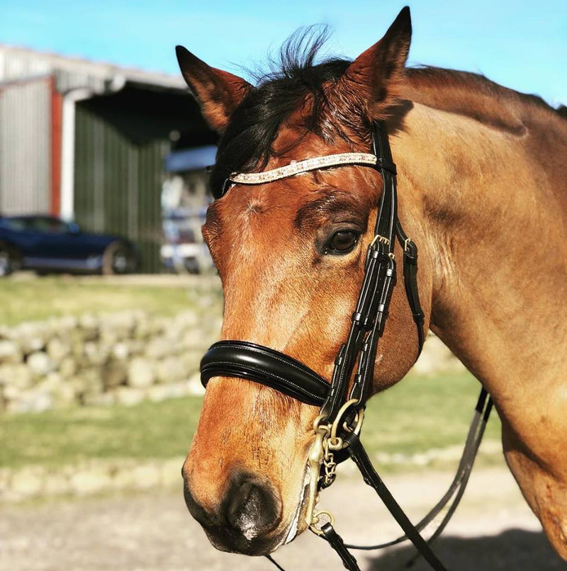 Equiture Swarovski tiffany rose gold browband