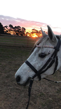 Equiture Swarovski tiffany rose gold browband
