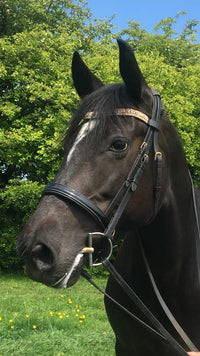 Equiture Swarovski tiffany rose gold megabling curve browband