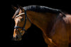 Equiture Swarovski Tiffany Rose gold opal megabling curve browband