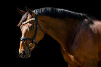 Equiture Swarovski Tiffany Rose gold opal megabling curve browband