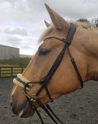 Equiture Swarovski tiffany rose gold browband