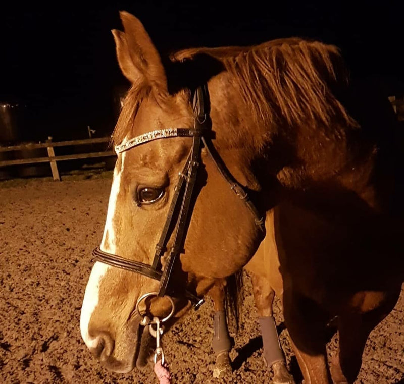 Equiture Swarovski tiffany rose gold browband