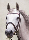 Equiture Ruby and clear browband