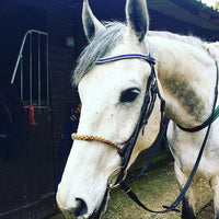 Equiture Sapphire and clear browband