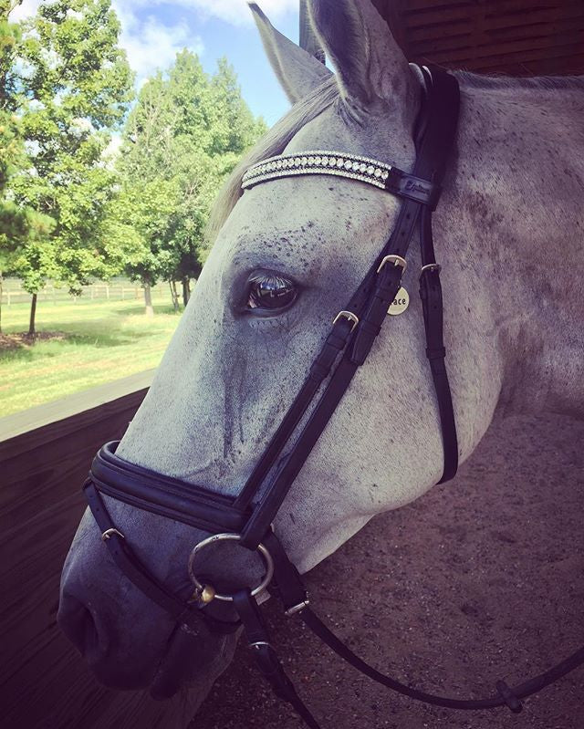 Equiture Swarovski tiffany clear crystal and jet megabling curve browband
