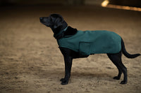 Equestrian stockholm Sycamore green fleece dog rug