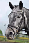 Equiture Swarovski Tiffany unicorn browband