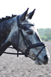 Equiture Swarovski Tiffany unicorn browband