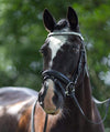 Equiture Swarovski Tiffany unicorn browband