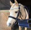 Equiture Swarovski Tiffany unicorn megabling curve browband