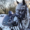 Equiture Swarovski Tiffany unicorn megabling curve browband