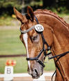 Equiture Jet and silver pearl with jet and clear crystal megabling curve browband